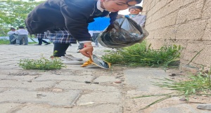 07-06-2025